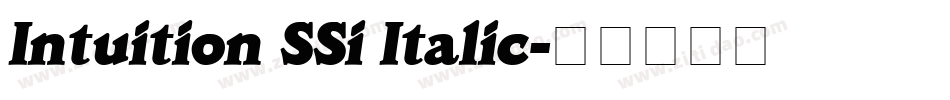 Intuition SSi Italic字体转换